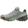 Sprinter Salomon Speedcross 5 GTX Wwrought iron/spray/antique moss gris Zapatillas running