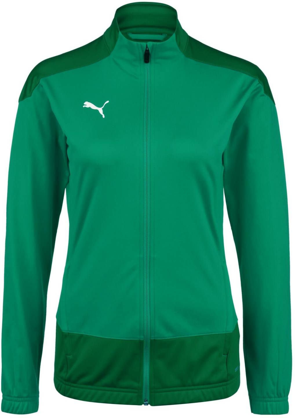 Sprinter Puma Teamgoal 23 Track Jacket Womengreen Chándales