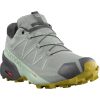 Sprinter Salomon Speedcross 5 GTX Wwrought iron/spray/antique moss gris Zapatillas running