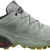 Sprinter Salomon Speedcross 5 GTX Wwrought iron/spray/antique moss gris Zapatillas running