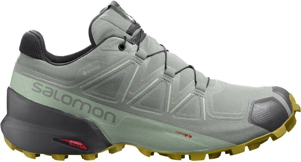 Sprinter Salomon Speedcross 5 GTX Wwrought iron/spray/antique moss gris Zapatillas running